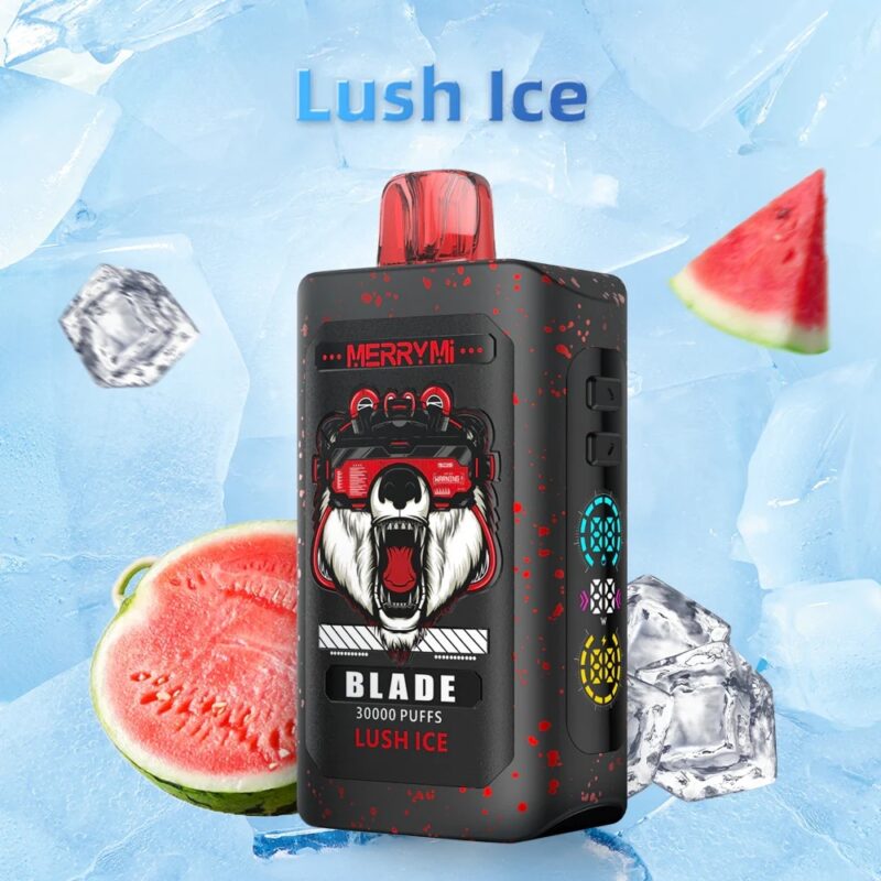 Merrymi Blade 30000 – LED, Type-C, wygodny vape | vapixo