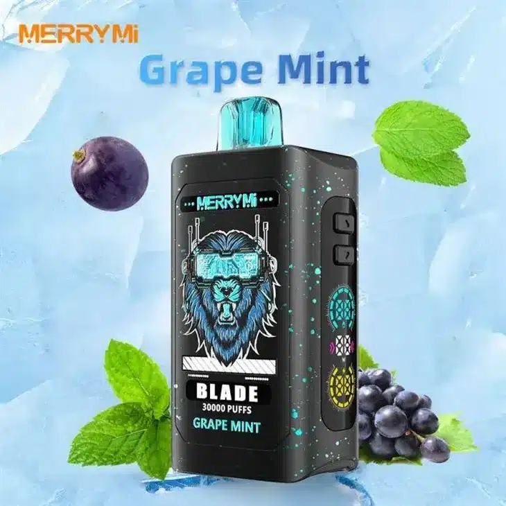 Merrymi Blade 30000 – LED, Type-C, wygodny vape | vapixo